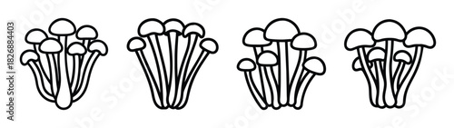 Illustration of psilocybe mushrooms drawing, magic mushroom, psychedelic mushrooms, fungus art, line art