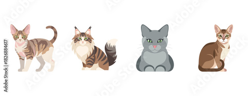 Illustration of four distinct domestic cats on a white background