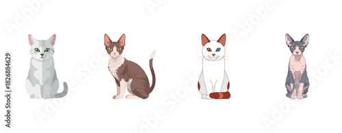 Illustrated row of different cat breeds on white background