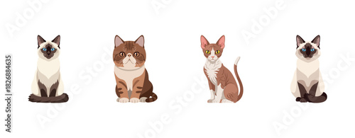 Four cartoon cats: siamese, british shorthair, sphynx, siamese depictions on white background