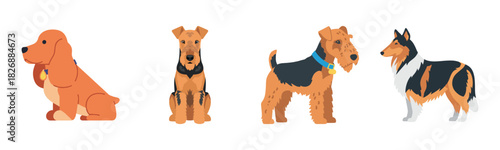 Illustrated dog breeds: spaniel, airedale, terrier, collie in profile view