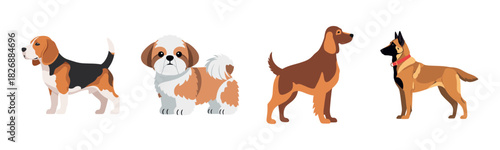 Illustration of four distinct dog breeds in profile view