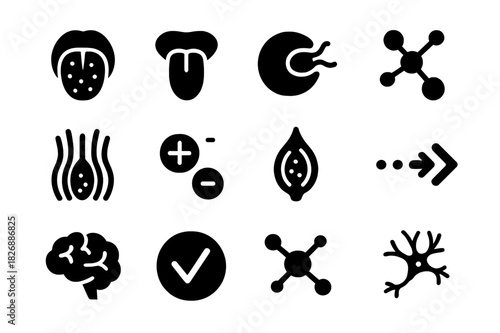 Taste Receptor Icons. Taste receptors. Solid icon set of Taste receptors: taste bud, tongue papillae, receptor icon, nerve signal, molecule binding,