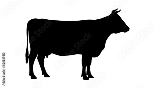 Black cow silhouette vector illustration farm animal graphic