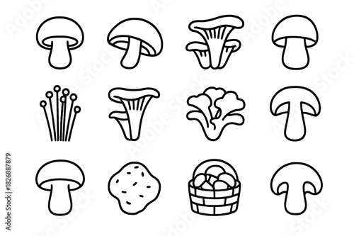 Edible Mushrooms Icon Set. Edible Mushrooms. Line icon set of Edible Mushrooms: button mushroom, shiitake, oyster mushroom, porcini, enoki, chanterelle,
