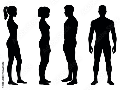 collection of male and female full body standing silhouettes showing different poses, ideal for anatomy references, fitness concepts, posters, and modern design use