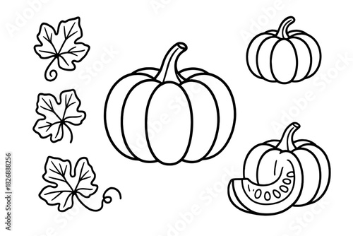 Hand drawn outline set of autumn pumpkins and squash with leaves and vines
