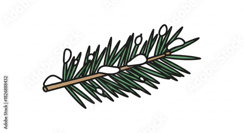 Green evergreen branch with snow isolated, cartoon style illustration, winter season, christmas holiday decoration, festive graphic design element