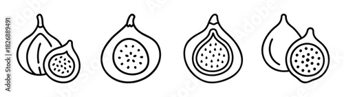 Black and white fig fruit vector illustration, healthy eating, vegan food, fig drawing clip art
