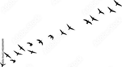 Birds flying in formation against a white background in silhouette