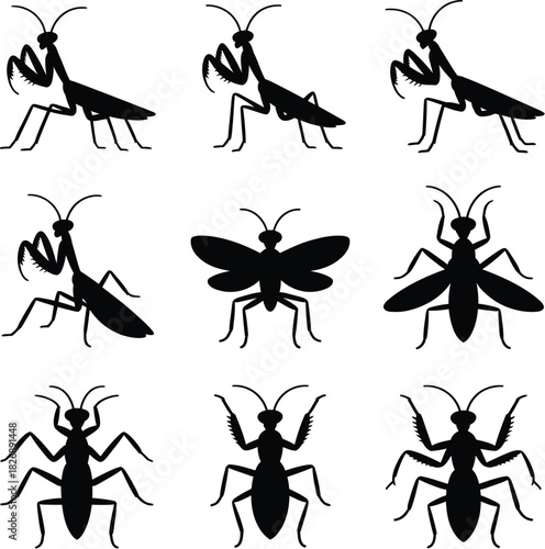 Set of Black Silhouette Insect Icons Including Praying Mantis and Ant vector illustration