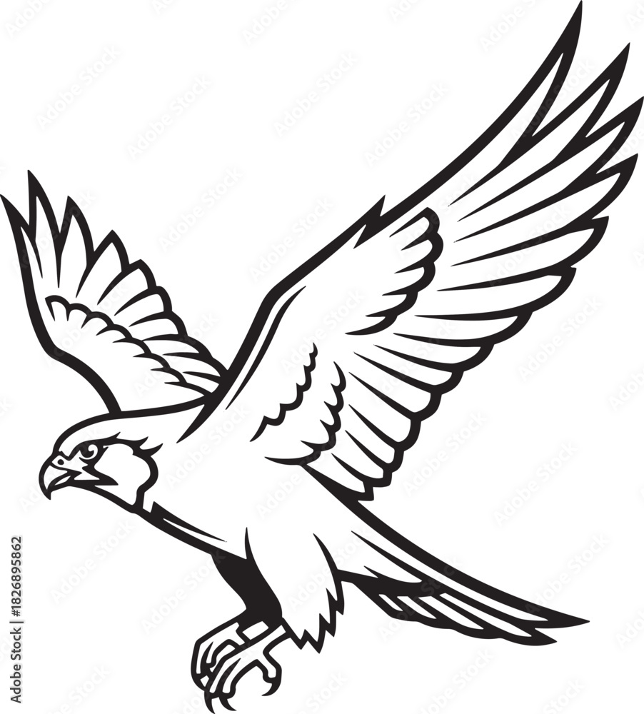 Obraz premium black line art illustration of a falcon or hawk in flight. Predator bird.