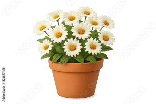 Wallpaper Mural Daisy flowers blooming in terracotta pot transparent background Torontodigital.ca