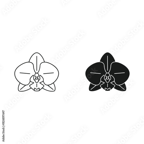 Elegant orchid flower silhouette and outline design set
