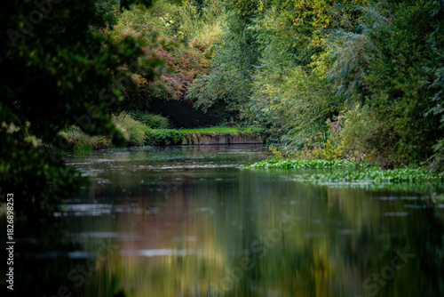 reflection in the water