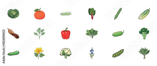 Colorful collection of various garden vegetables on white background