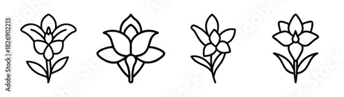 Floral vector design elements for patterns, backgrounds, and creative design projects black and white