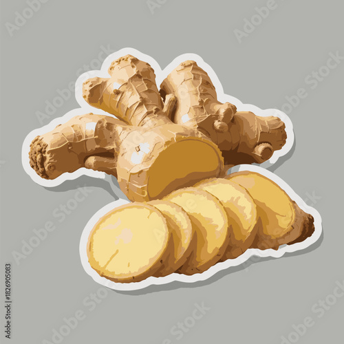 Close up illustration of fresh ginger root and sliced pieces isolated on a gray background