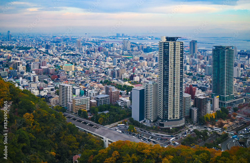 Fototapeta premium 空から見る日本の神戸の街並み