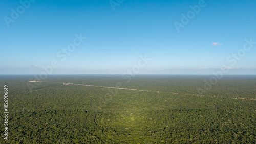 Aerial drone landscape view of green tropical forest canopy with bright blue sky on a sunny morning near Tulum during blue hour