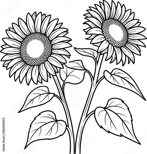 Elegant Black and White Sunflowers Vector Line Art Illustration | Detailed Duo Floral Sketch for Coloring Books, Summer Decor, Nature Design, and Minimalist Print Assets.