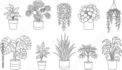 Beautiful indoor houseplants collection, potted plant line art illustration, black and white botanical drawing, modern home decor vector design