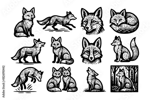Woodcut style fox collection: diverse poses and expressions in wildlife art
