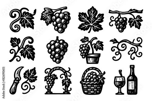 Vintage grapevine and wine icons: rustic grapes, leaves, and bottles in black and white