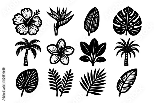 Tropical floral and leaf collection in bold black silhouette style