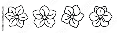 Black and white flower line art illustration for coloring pages and floral design projects element vector