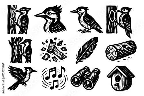 Woodpecker icons set with birds, feathers, logs, and birdhouse