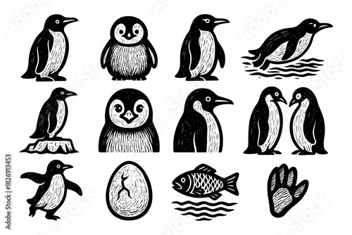 Charming penguin collection: hand drawn black and white penguin illustrations