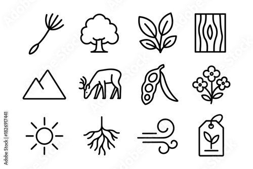 Nature line art icons: trees, plants, and outdoors elements for eco designs