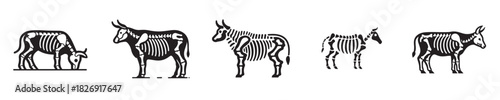 cow skeleton silhouette vector