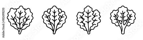 Vector illustration of chard leaves, leafy greens, vegetable, and healthy food ingredient designs