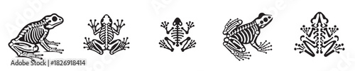 frog skeleton silhouette vector
