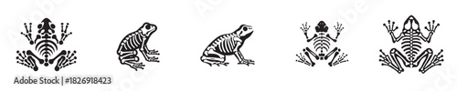 frog skeleton silhouette vector