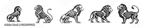 vector lion bones skeleton silhouette