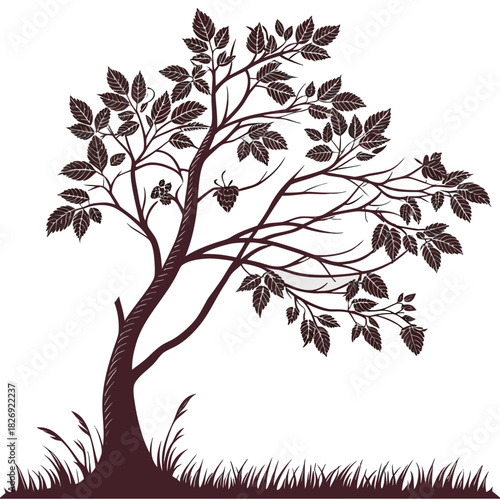 raspberry tree on white background 