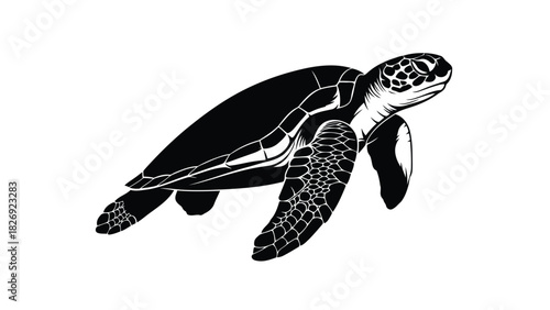 Detailed black and white vector illustration of a sea turtle swimming gracefully, stylized graphic design for marine life logos and tattoo art, isolated on white background