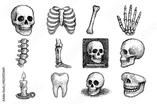 Hand drawn skeleton elements set with skull, bones, candle, ribs