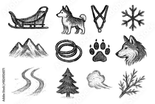 Chalk-style winter adventure: dogsledding elements and nature icons