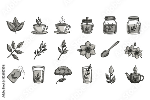 Hand drawn tea elements collection with herbs and floral designs