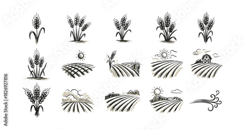Hand-drawn wheat and farm landscape elements with sun and clouds