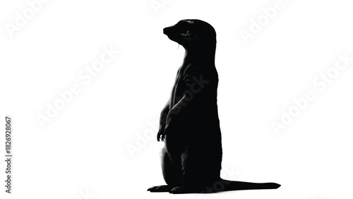 Black silhouette of a meerkat standing upright on its hind legs looking alertly to the side, minimalist graphic design, vector art, isolated on white background