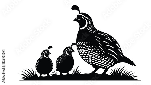 Black and white silhouette of California Quail family, adult bird with two chicks standing in grass, detailed vector art, wildlife emblem design, isolated on white background