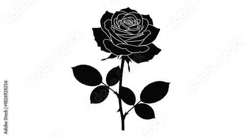 Elegant black silhouette of a single blooming rose flower with detailed petals and thorny stem, classic vector art, perfect for tattoo or graphic design, isolated on white background