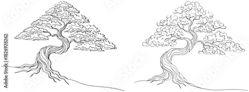 Handdrawn black and white illustrations of stylized bonsai trees with twisted trunks and roots, white