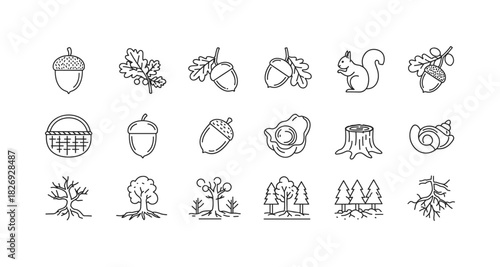 Autumn nature icons set: acorns, oak leaves, squirrels, and trees in linear design