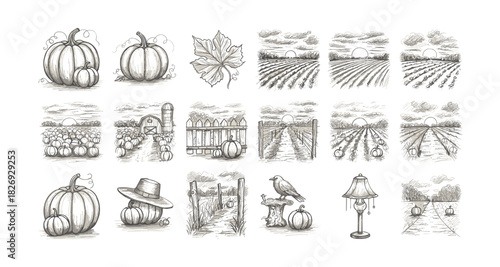 Hand drawn autumn harvest scenes with pumpkins, farm landscapes, and rustic elements